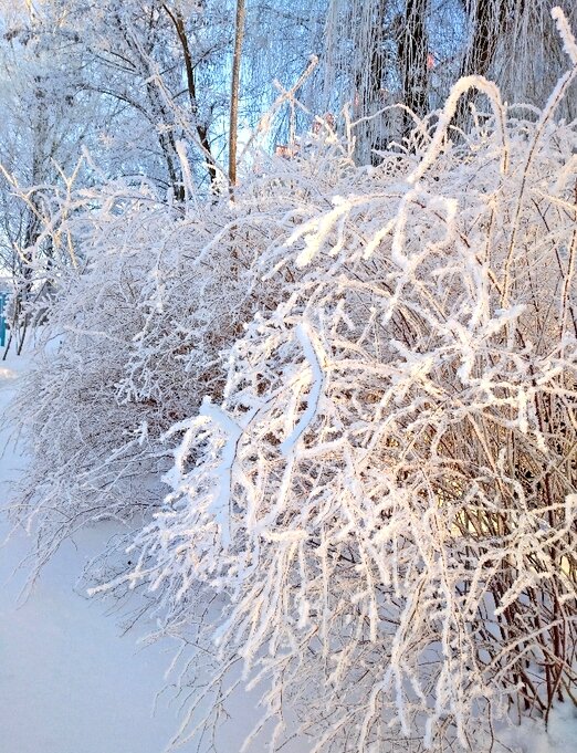 В январе... - Елена 