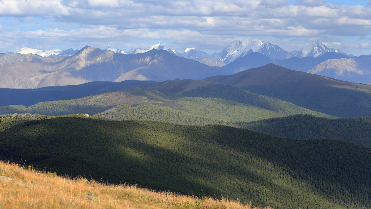 ***** - владимир 