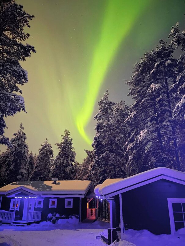 Полярное - XX 74