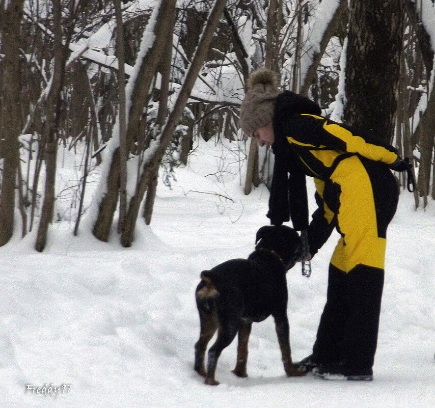 Прогулки в любую погоду... - Freddy 97