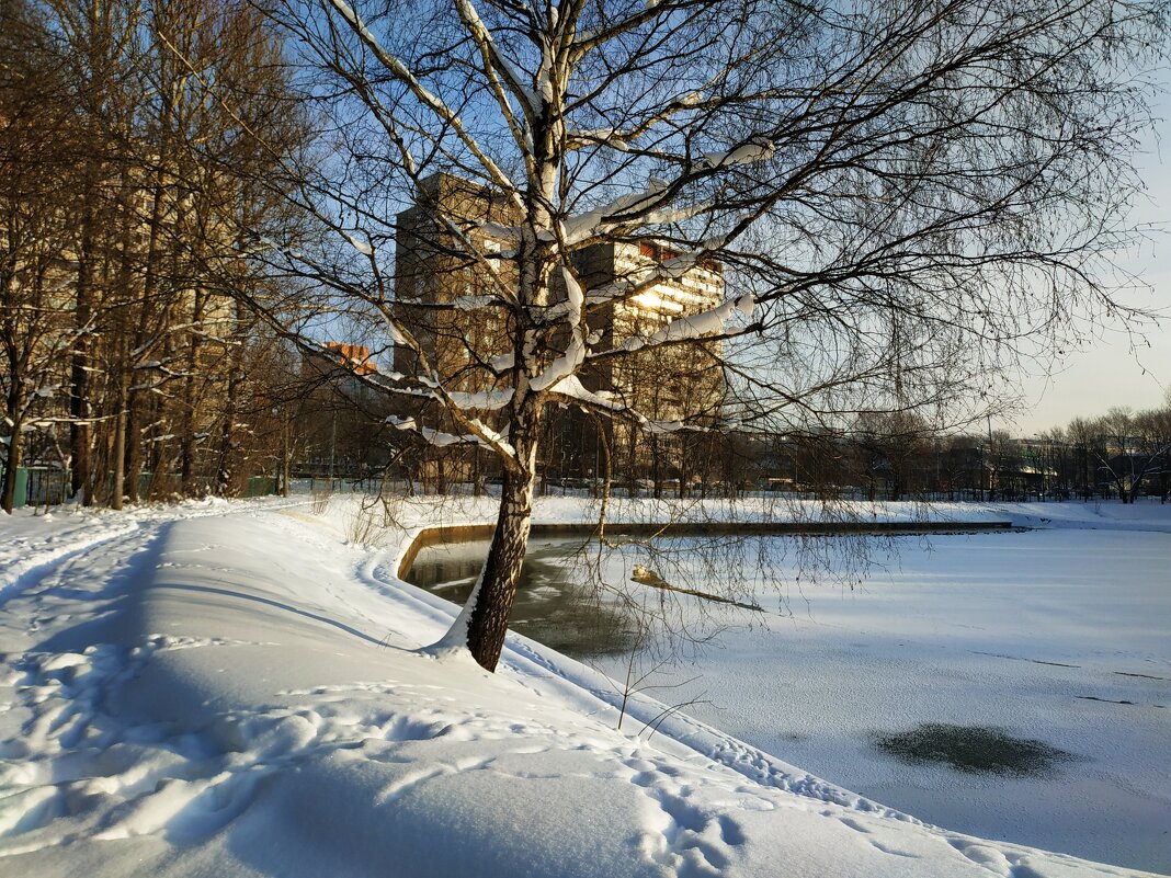 Мороз и солнце, день чудесный - Андрей Лукьянов