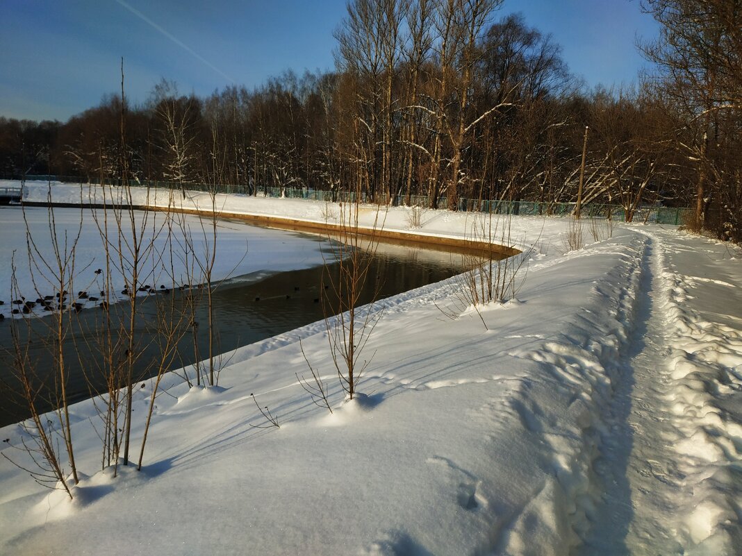 Мороз и солнце, день чудесный - Андрей Лукьянов