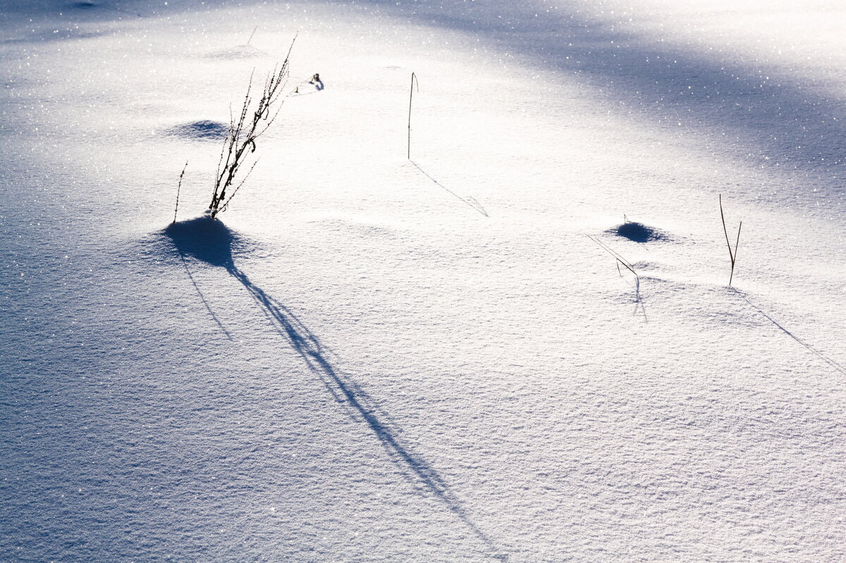 на солнечных часах 25 минут первого - Артём Евтюхов