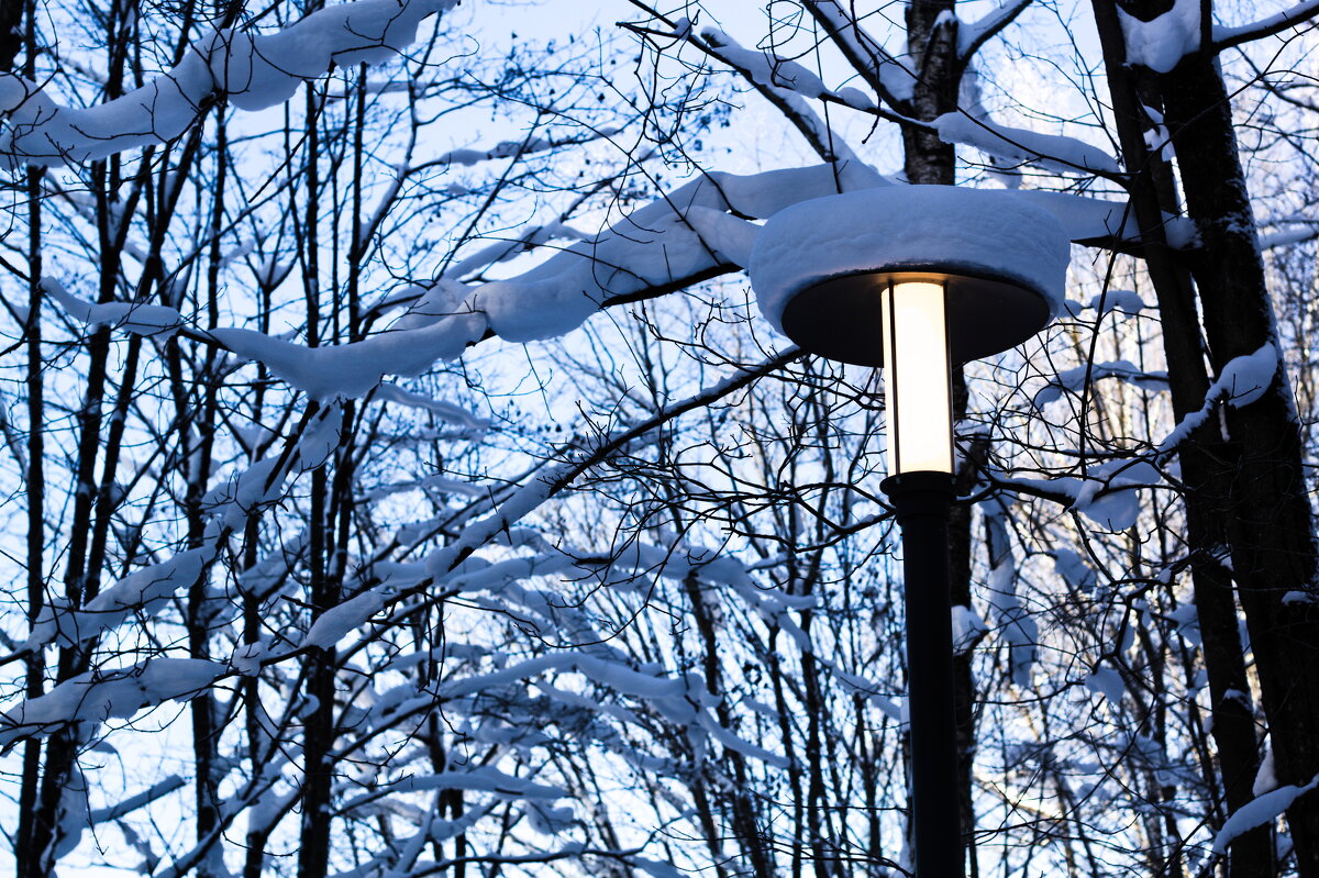 днем с огнем... - Артём Евтюхов