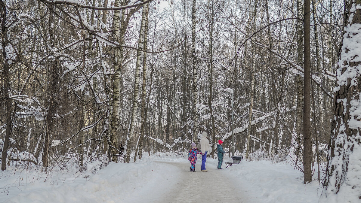 прогулки в зимнем парке - юрий поляков