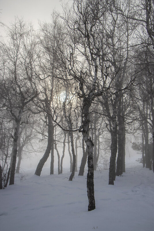 Утро. - Дмитрий А