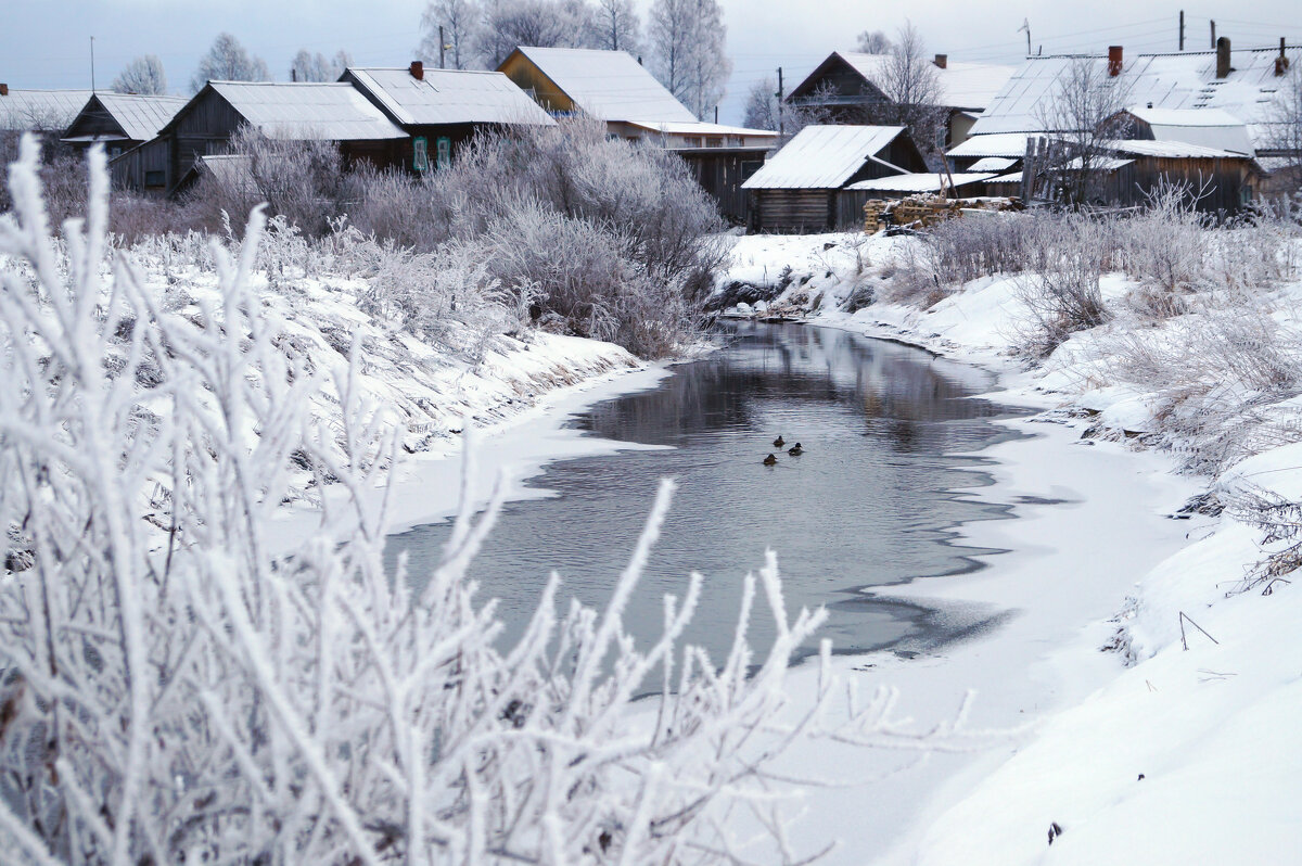 Речка у деревни - Сергей Ц