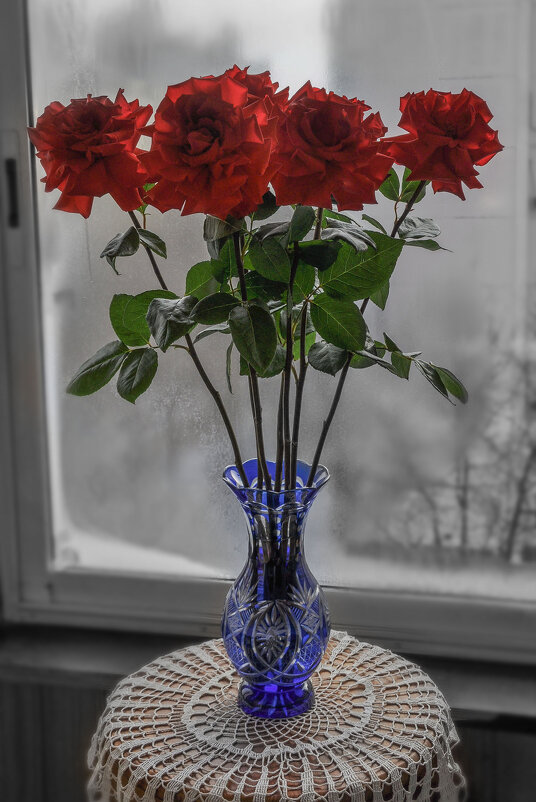 Розы с мороза - Татьяна Машошина