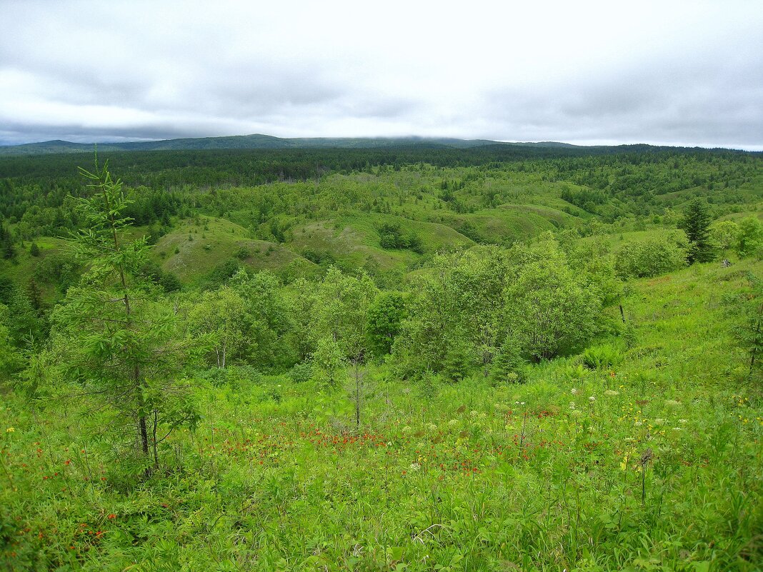 Славный остров Сахалин. - unix (Илья Утропов)