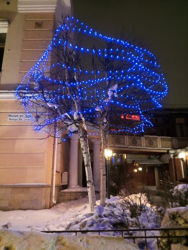 Светящееся дерево - Сапсан 