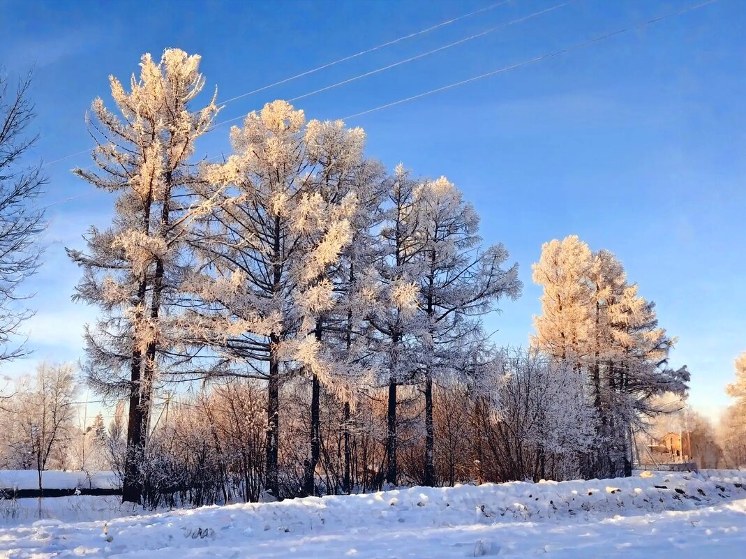 Зима январь - Михаил Столяров
