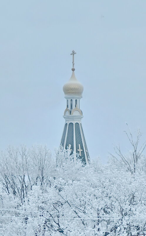 Калининград - Михаил Свиденцов
