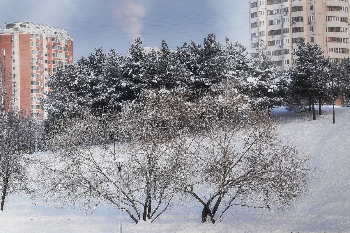 Дым трубой - к морозу. - Татьяна Помогалова