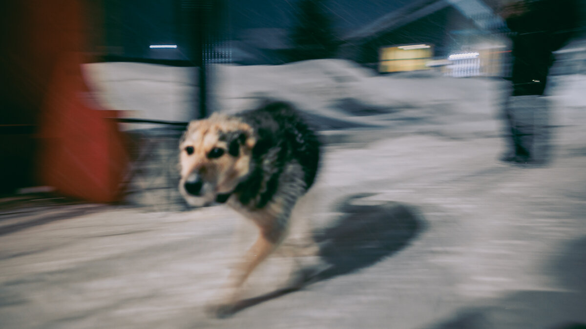 ... - Жора Житников ... - Жора Житников