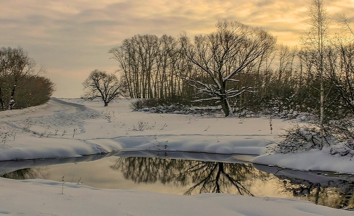 Незамерзающие речки у лебединого озера - елена беликова Незамерзающие речки у лебединого озера - елена беликова