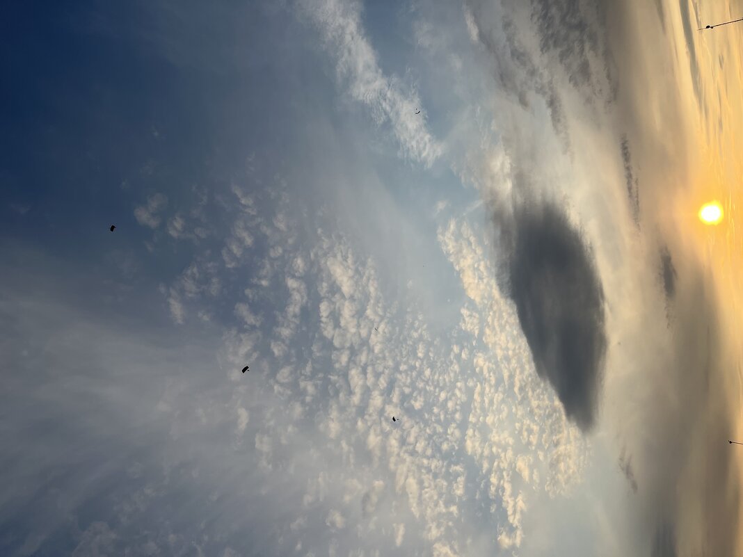 Небо с парашютиками - Эльвира Белянская Небо с парашютиками - Эльвира Белянская