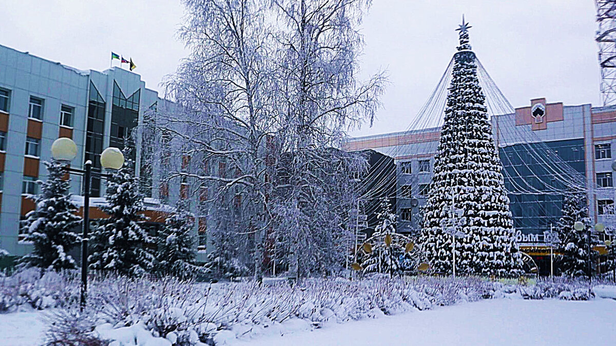 Январь...Заснеженная елка нефтяников! - Владимир 