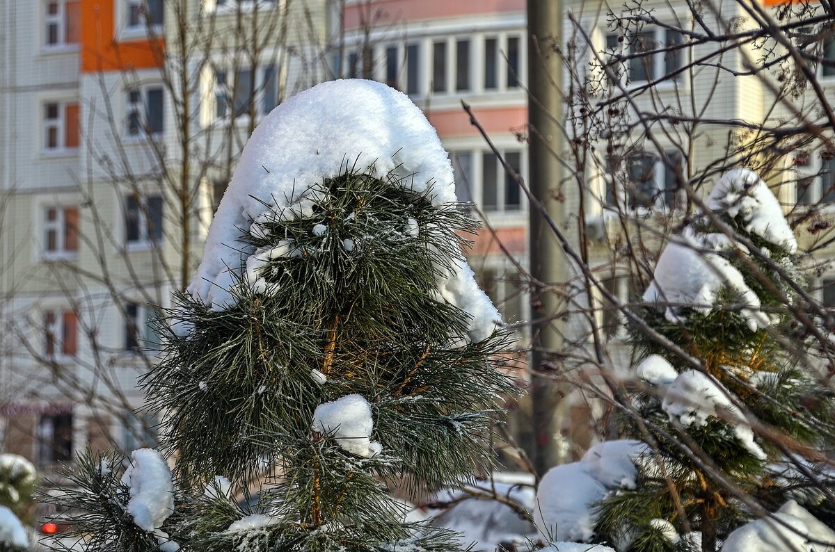 В снежной шапке-ушанке - Валерий Иванович В снежной шапке-ушанке - Валерий Иванович