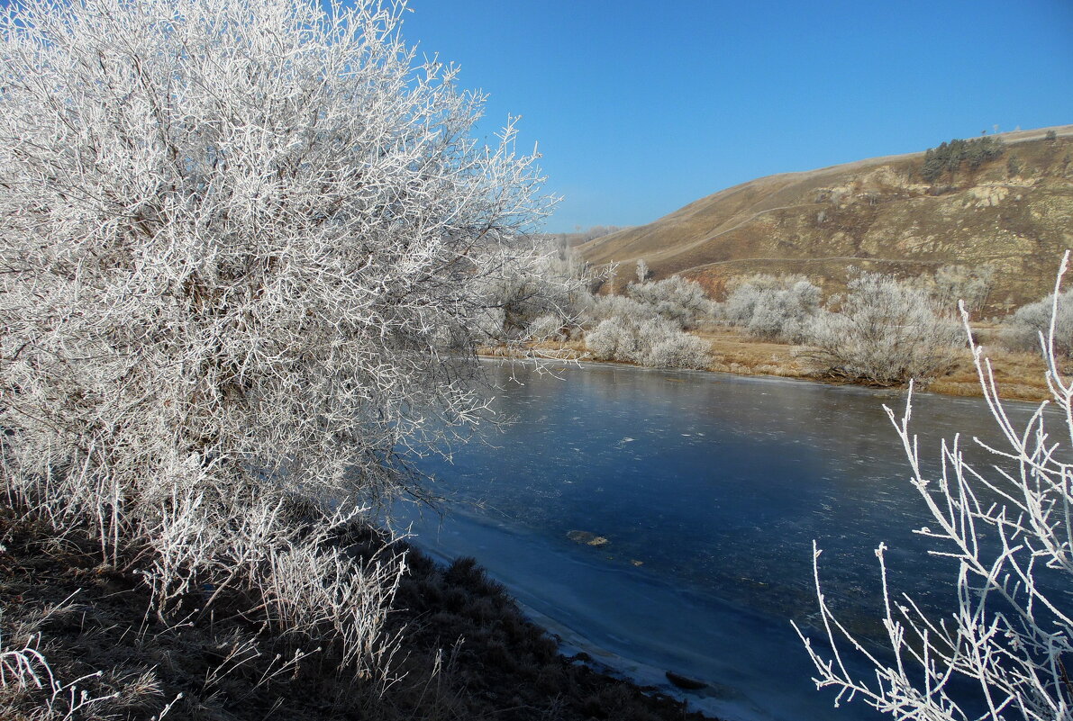 Предзимье. - nadyasilyuk Вознюк Предзимье. - nadyasilyuk Вознюк