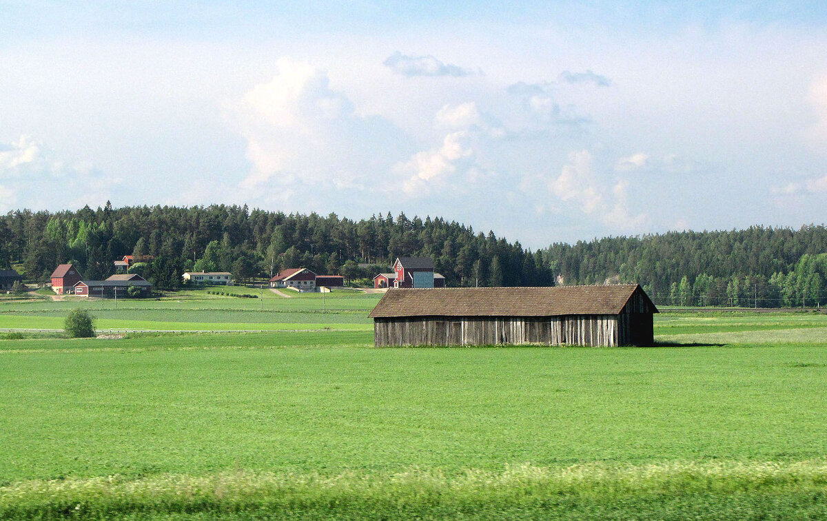Вблизи населенного пункта Кевола - Александр Ильчевский 
