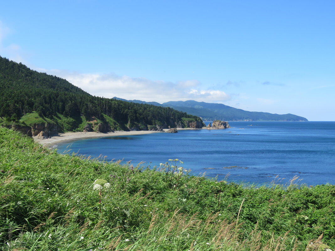 Залив Ардынова - ИРЭН@ . Залив Ардынова - ИРЭН@ .