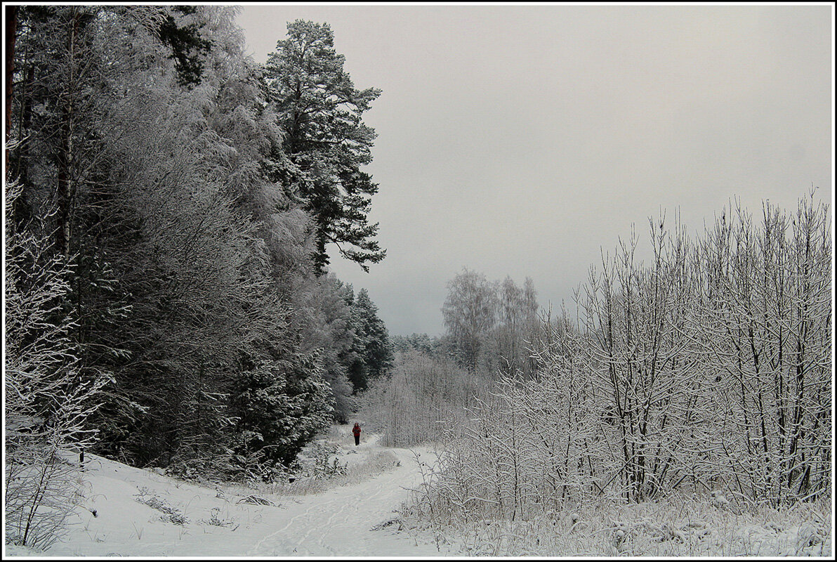 *** - Aleksandr Gal *** - Aleksandr Gal