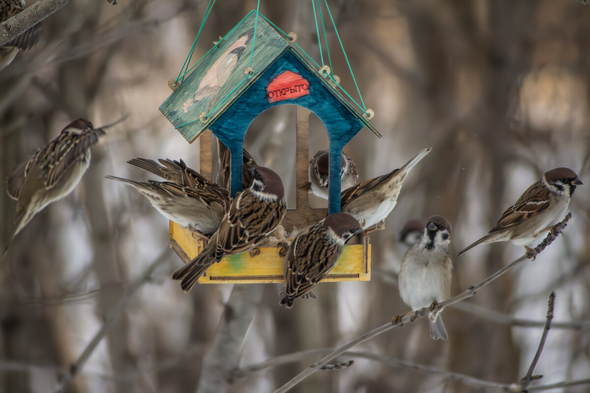 *** - Александр. AVG100 ---