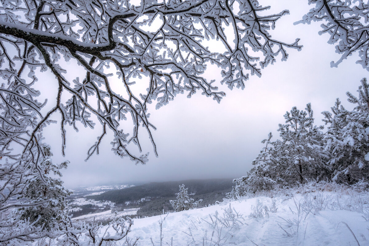Зимние узоры - Наталья Димова Зимние узоры - Наталья Димова
