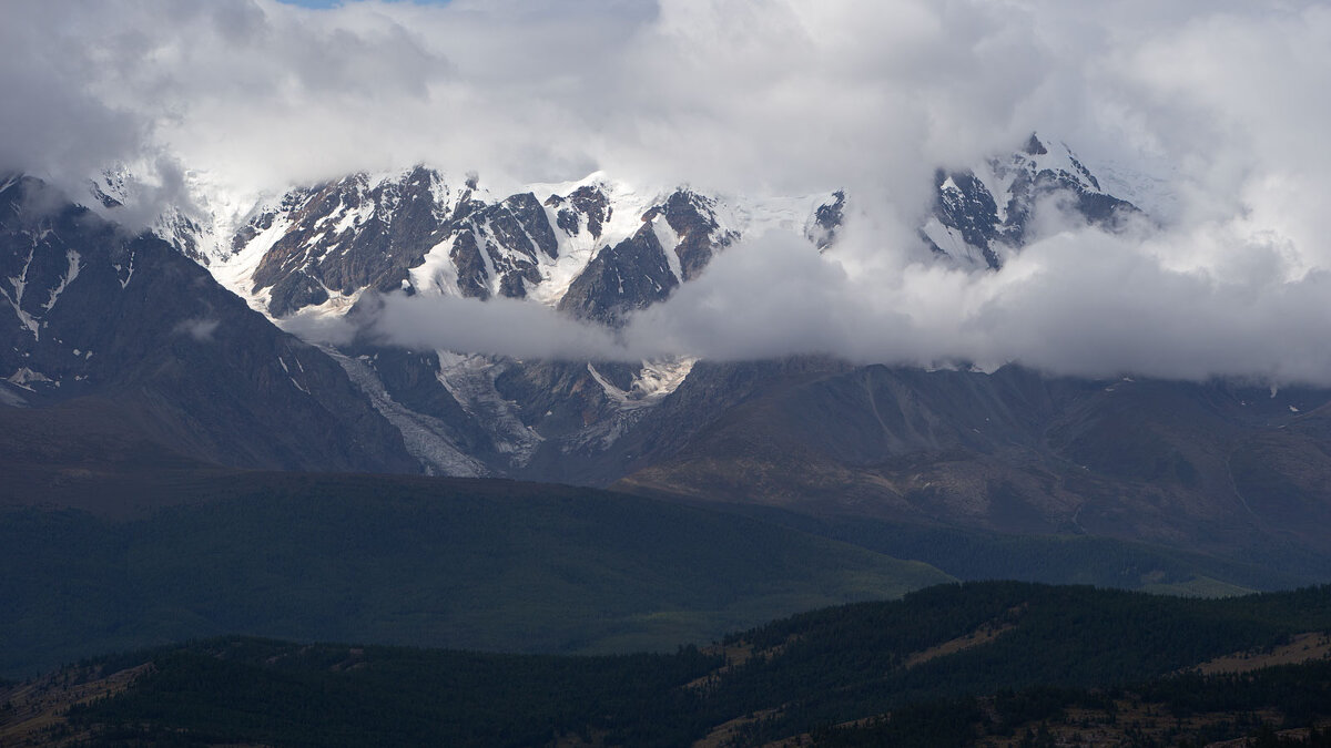 ***** - владимир 