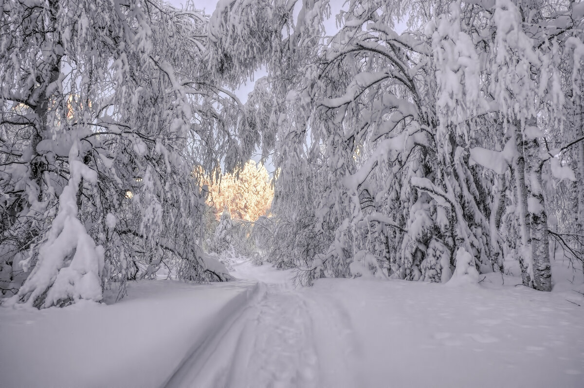 Дорога к свету - Vladimbormotov 