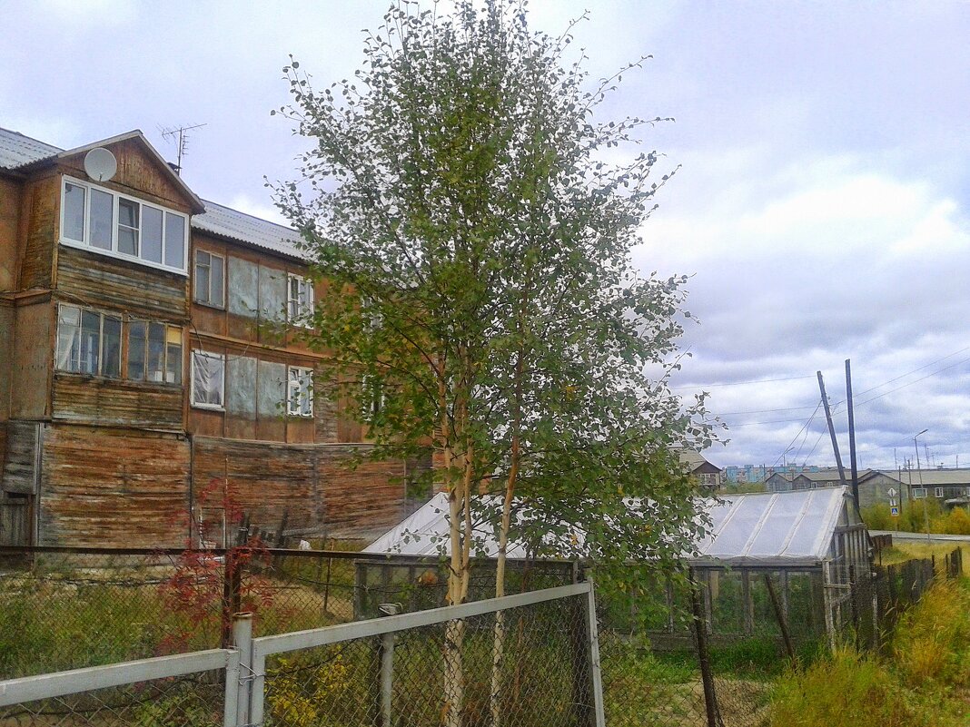 ЯМАЛ. ЛАБЫТНАНГИ - Tata Wolf