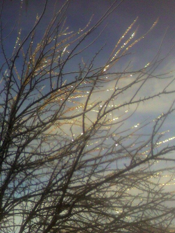 Ледяная музыка - Наталья 