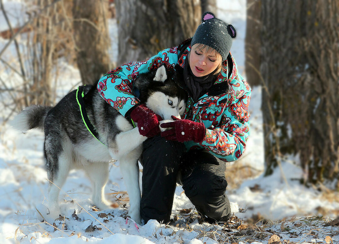 Девочка с собакой (случайный кадр) - елена беликова Девочка с собакой (случайный кадр) - елена беликова
