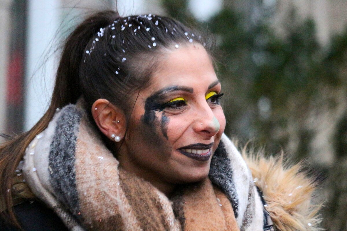 В карнавальной раскраске - Юрий. Шмаков В карнавальной раскраске - Юрий. Шмаков