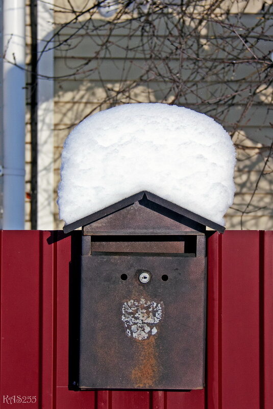 Снега навалило - Александр Снега навалило - Александр