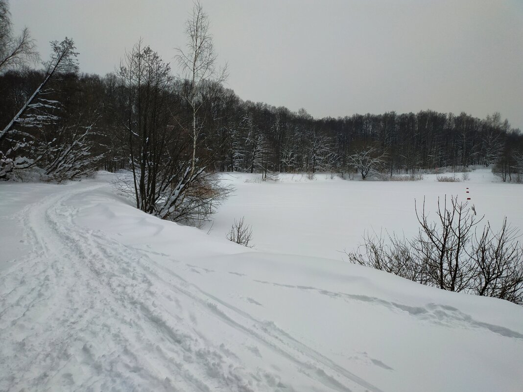 ЧБ графика зимы - Андрей Лукьянов