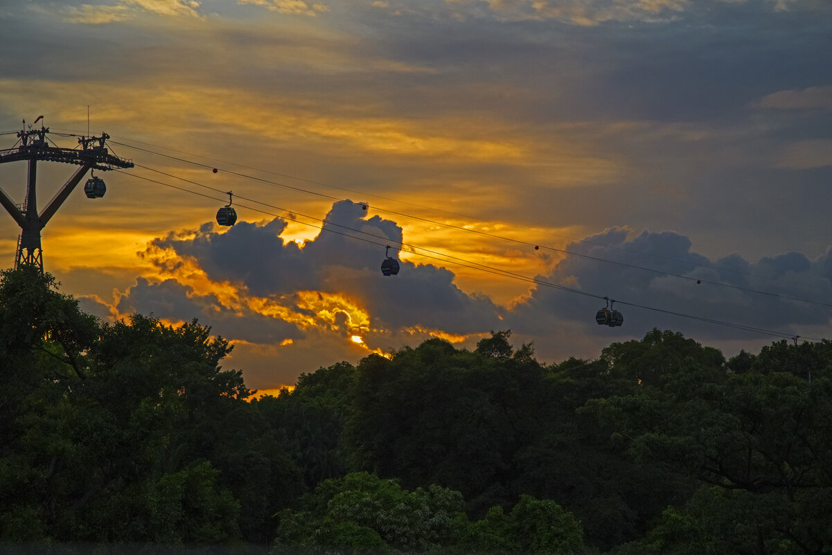 Канатная дорога - Сергей Фомичев