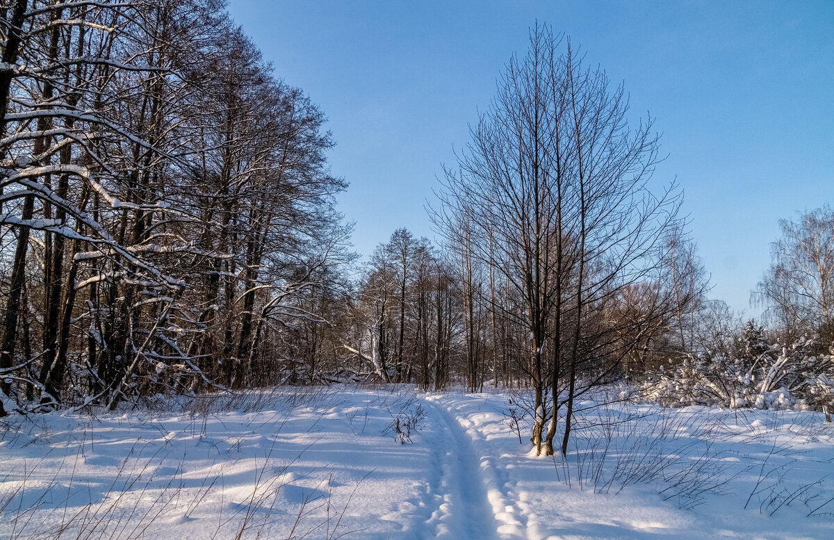 Морозное утро 3 - Андрей Дворников