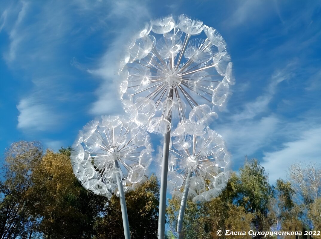 Светильники "Одуванчики" - Елена Сухорученкова