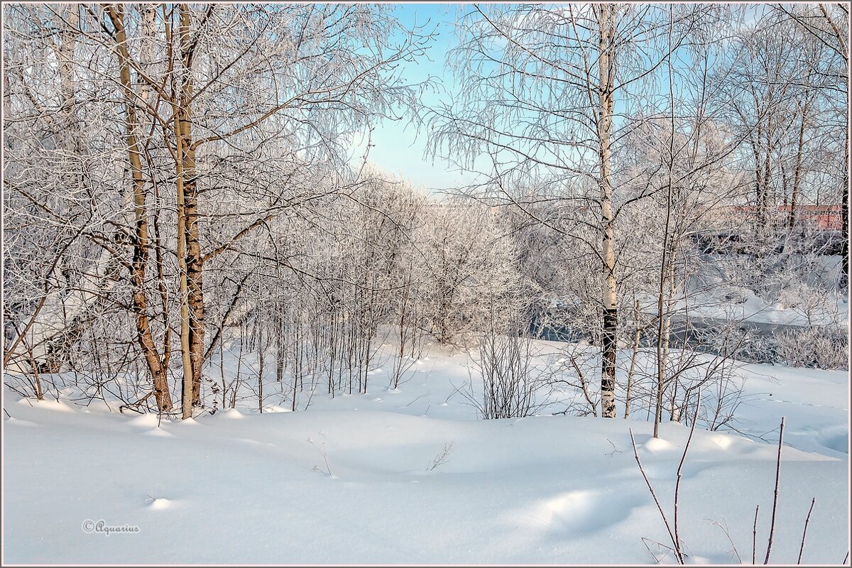 Морозным днём... - Aquarius - Сергей Морозным днём... - Aquarius - Сергей