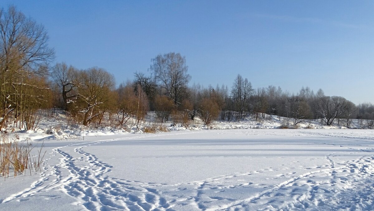 Про озёра Смоленщины. - Милешкин Владимир Алексеевич 