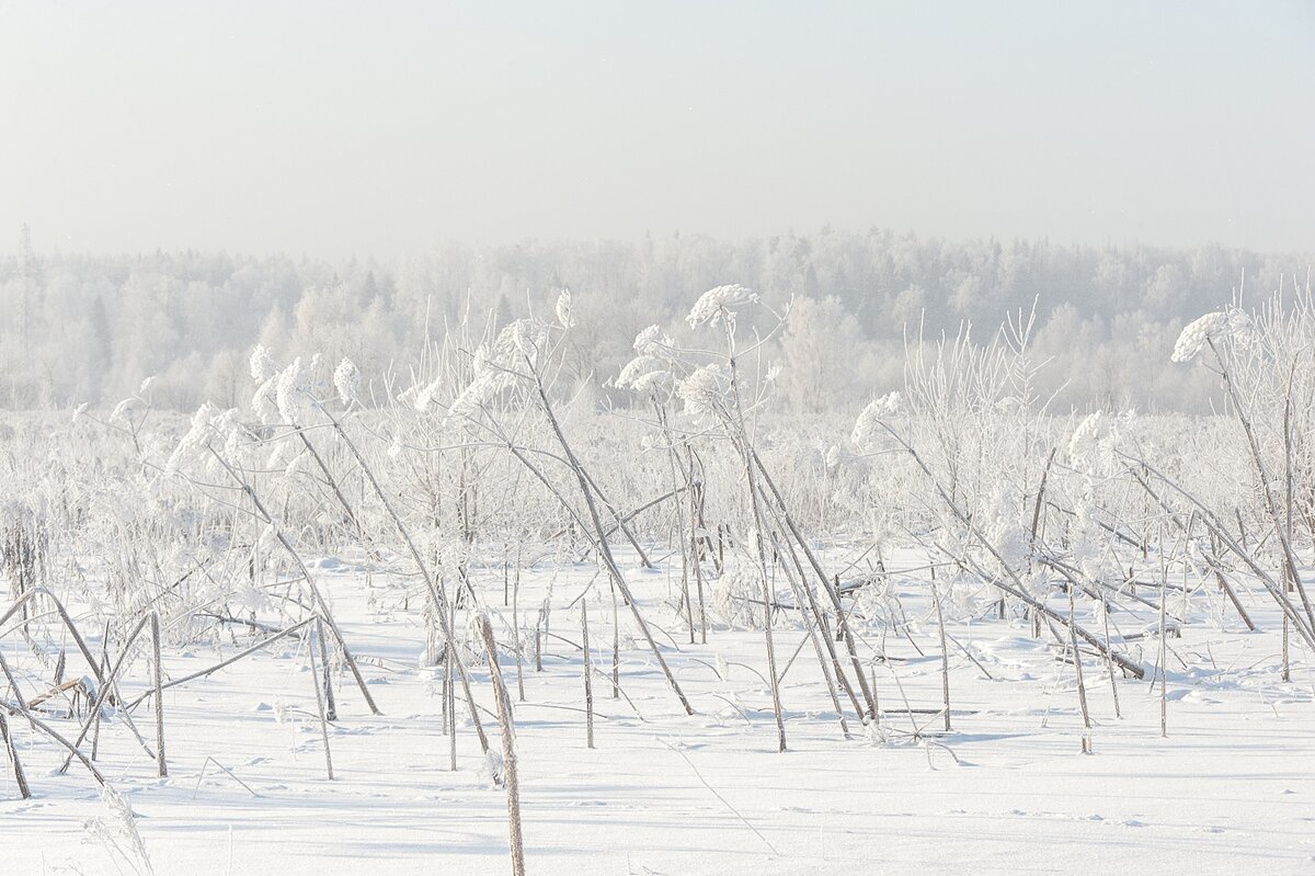 В морозной дымке - Валерий Иванович