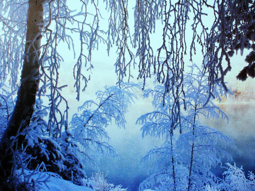 Красота зимы - Людмила Смородинская