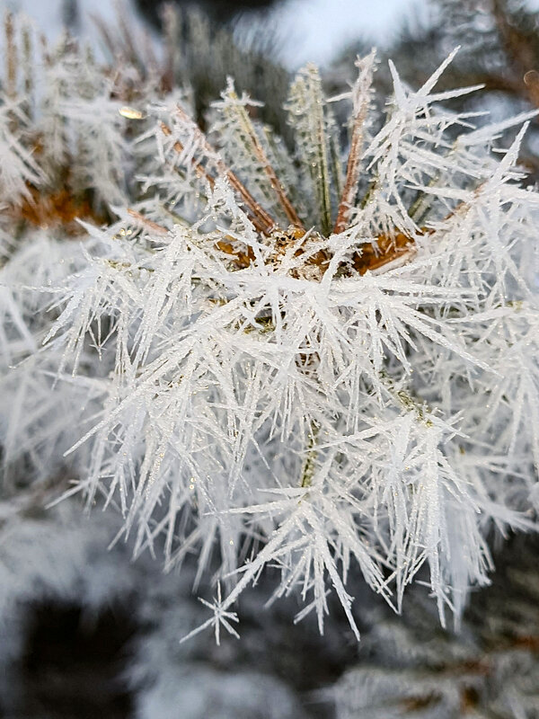 Иней морозным утром - Валерий Ткаченко
