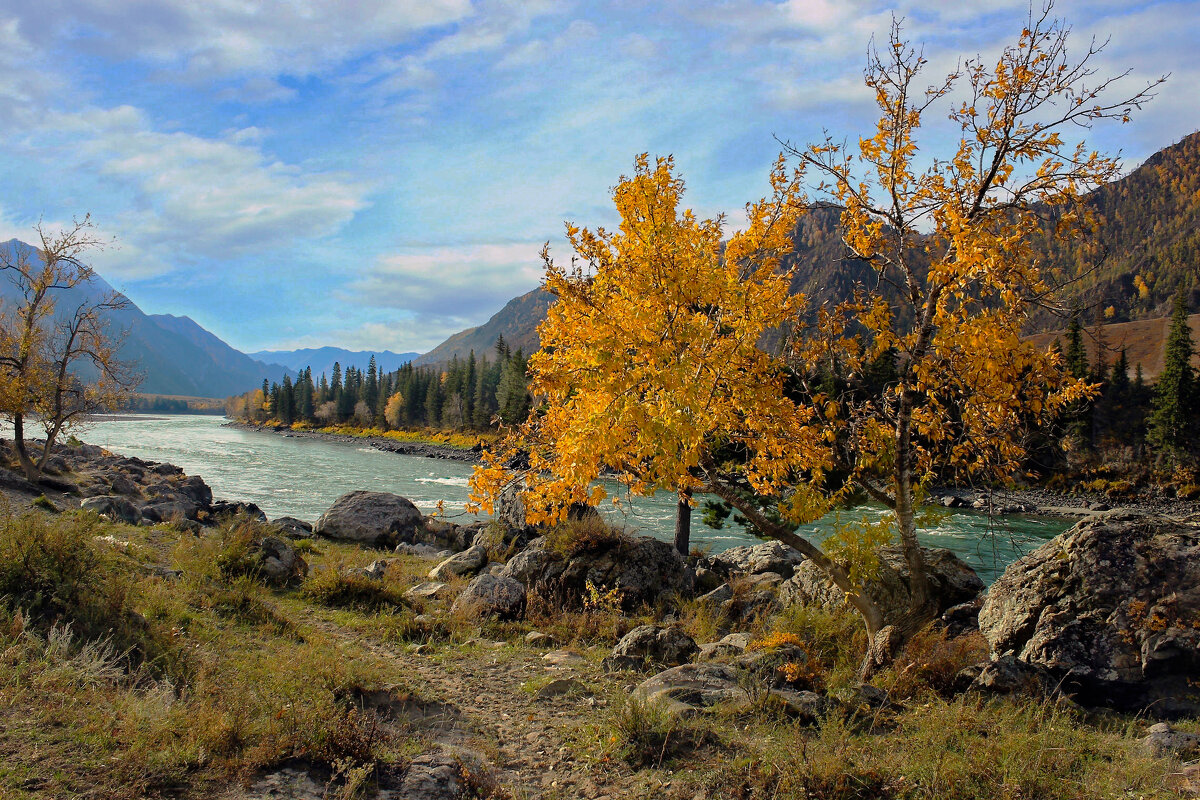 Катунские берега - елена беликова Катунские берега - елена беликова