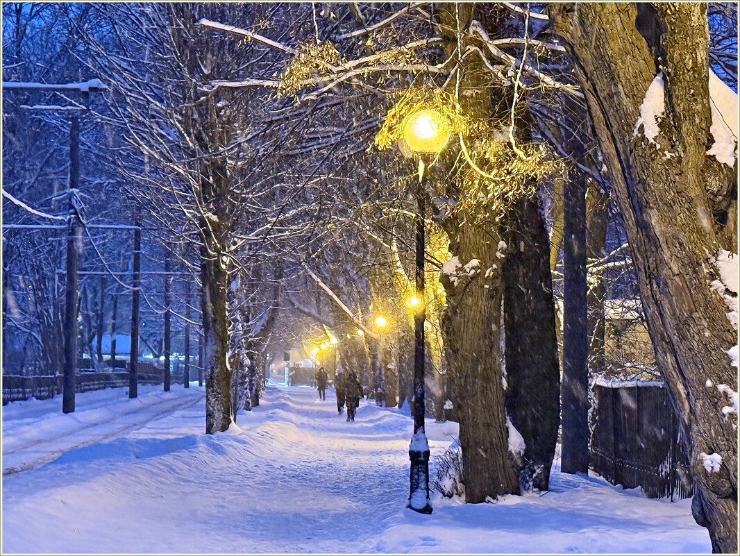 Зимние аллейки. - Валерия Комова