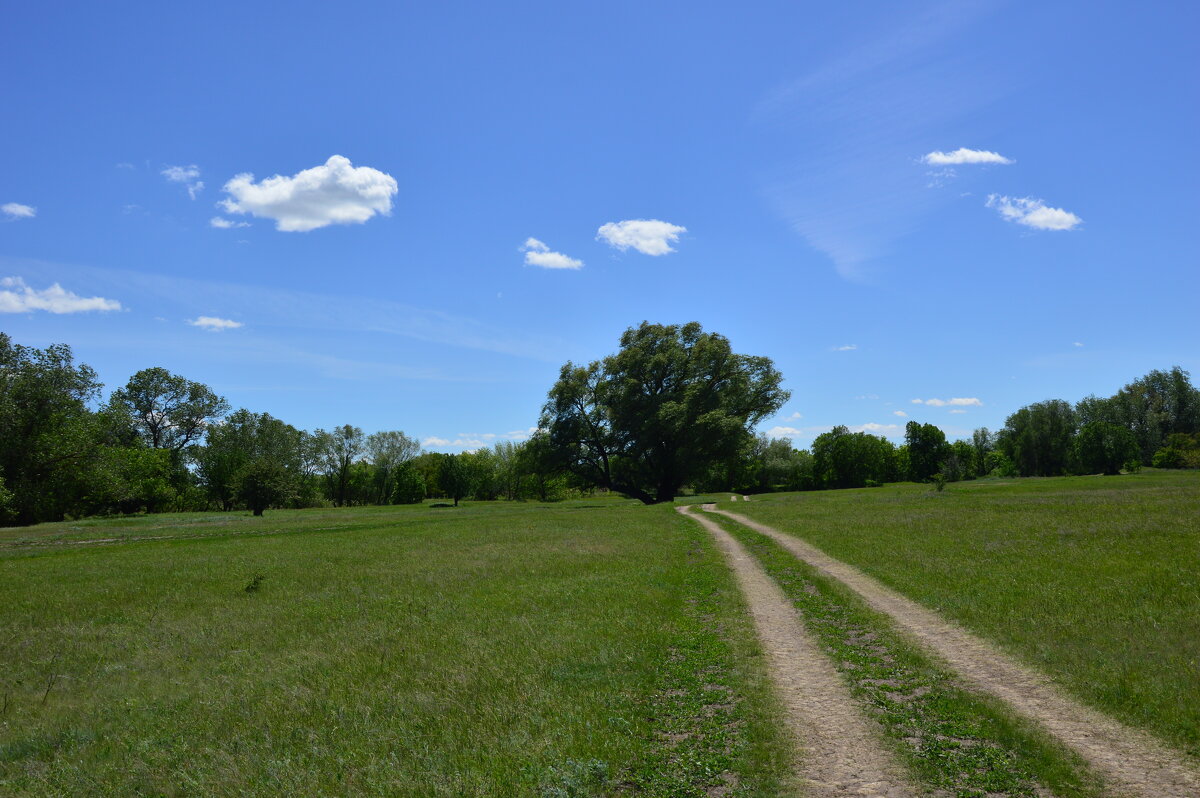 В степи. - Виктор 