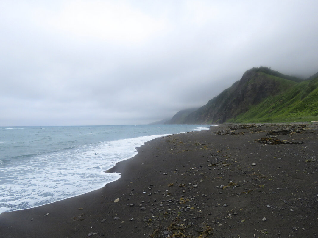 Опять туман.. - ИРЭН@ . Опять туман.. - ИРЭН@ .