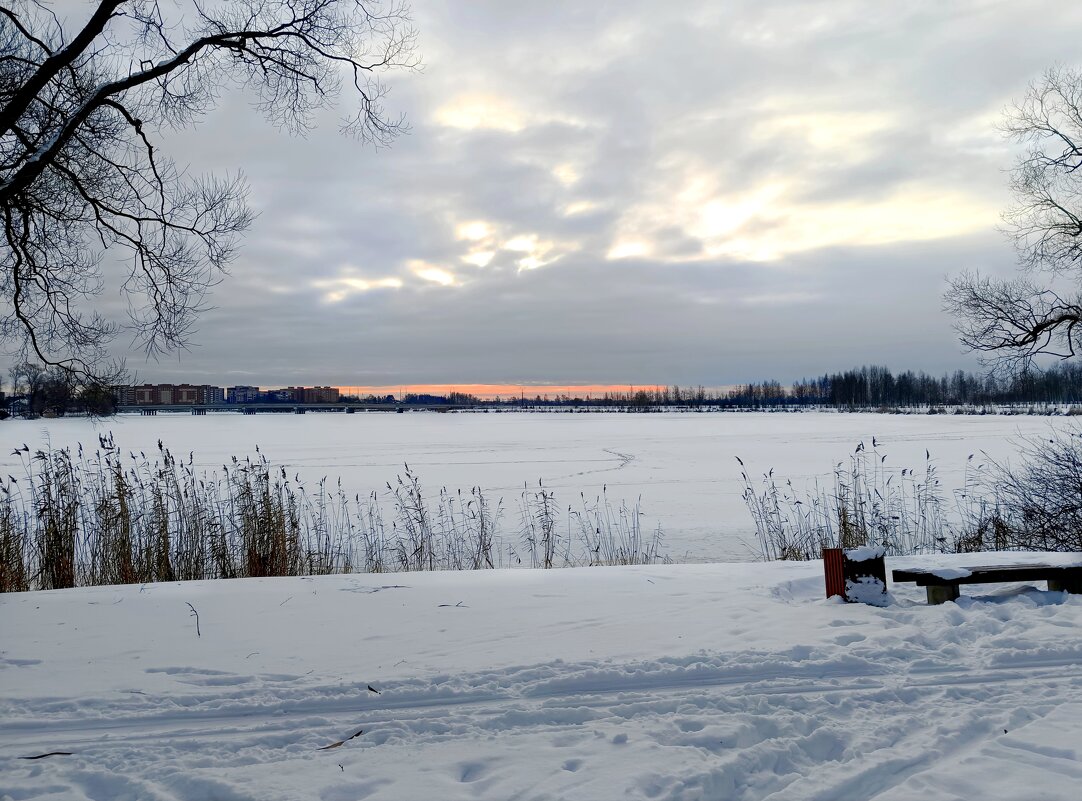 Розовый горизонт - Мария Васильева