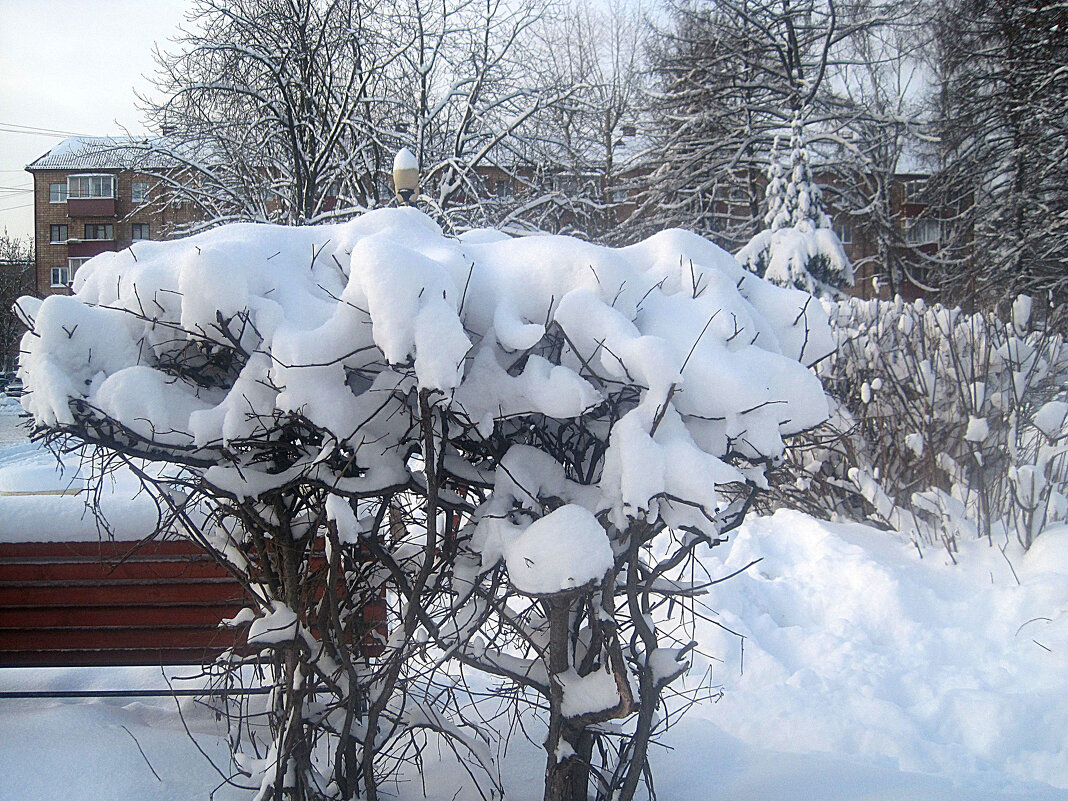 Снежный факел - Елена Семигина